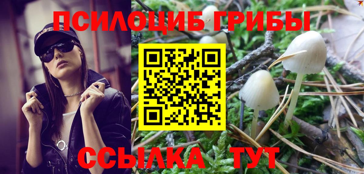 Псилоцибиновые грибы Magic Shrooms  Вход с VPN  Чапаевск 