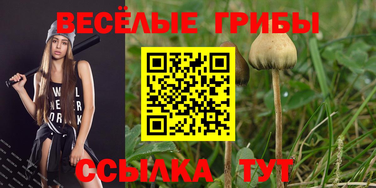 Псилоцибиновые грибы GOLDEN TEACHER Чапаевск